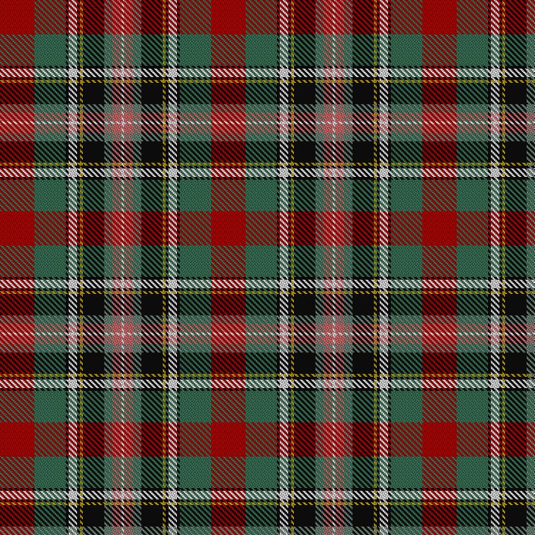 Tartan image: Bruce of Kinnaird. Click on this image to see a more detailed version.