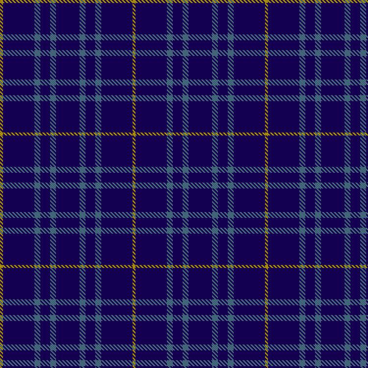 Tartan image: Sultan of Qaboo's Air Force. Click on this image to see a more detailed version.