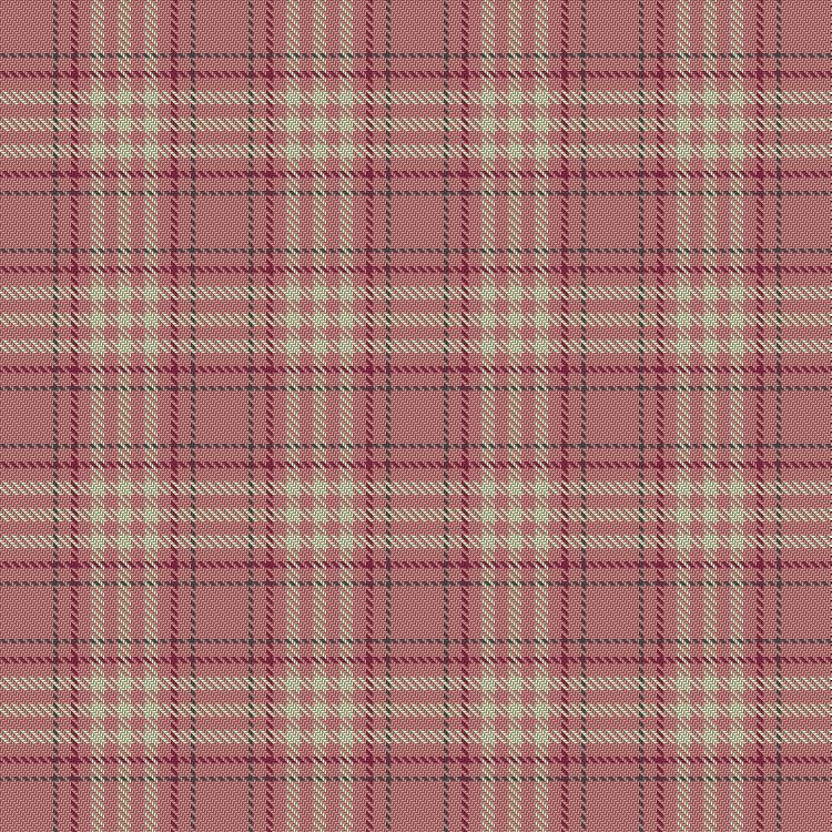 Tartan image: Weaving for Life. Click on this image to see a more detailed version.