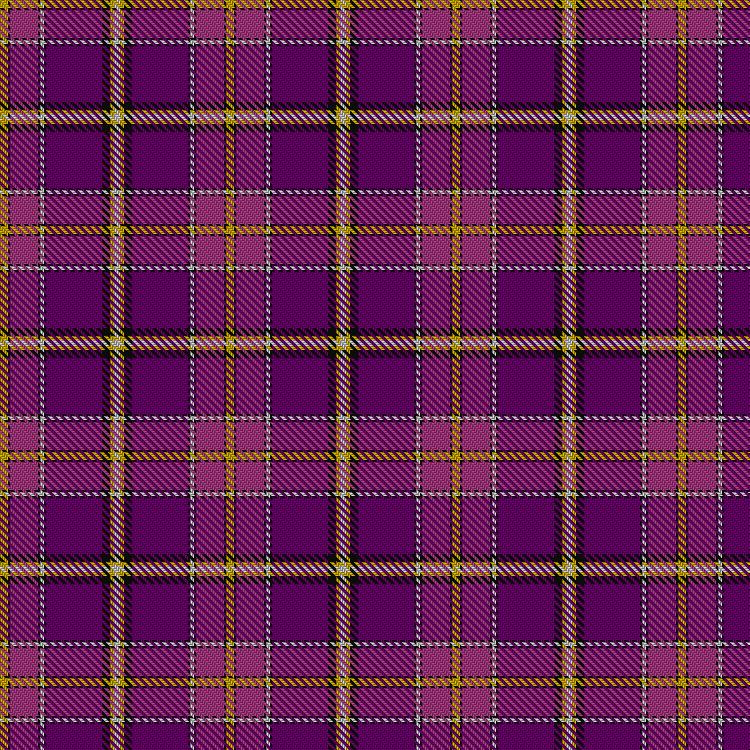 Tartan image: Svanholm (Personal). Click on this image to see a more detailed version.
