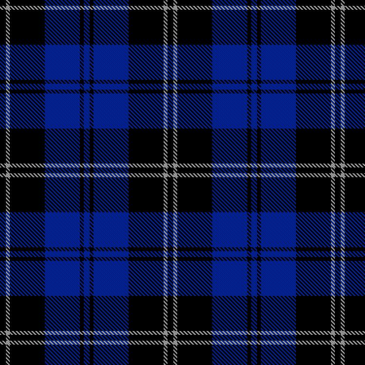 Tartan image: Swan. Click on this image to see a more detailed version.