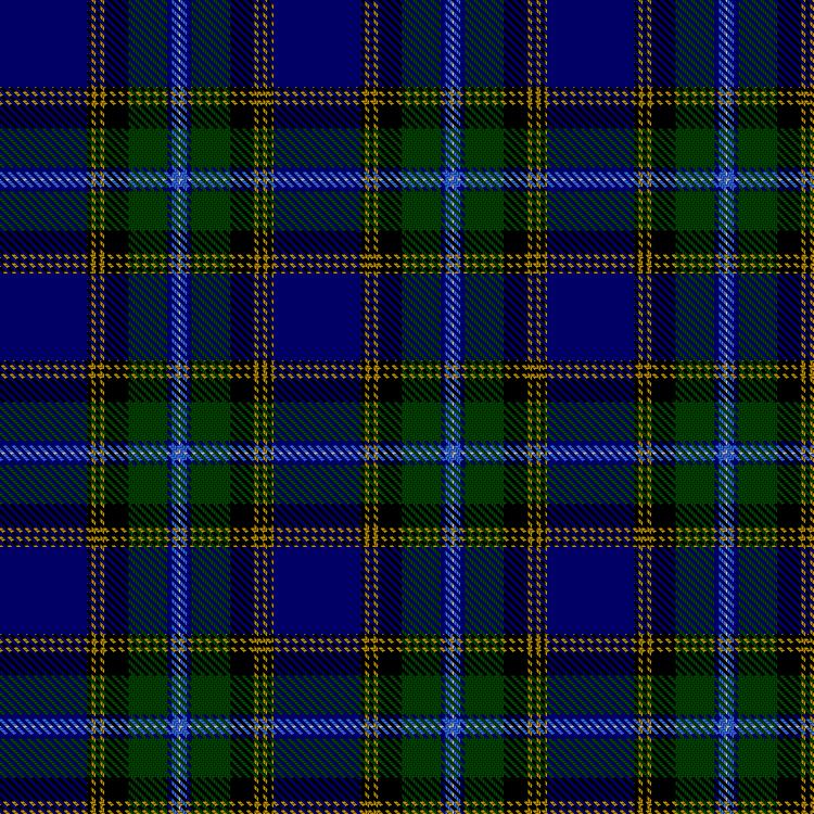 Tartan image: Swedish #2. Click on this image to see a more detailed version.