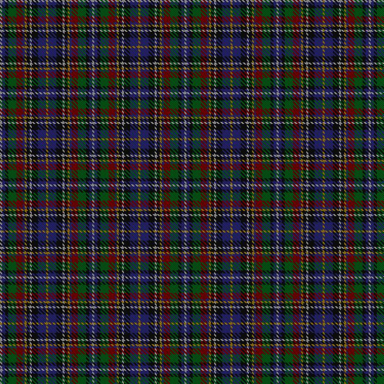 Tartan image: Talisman. Click on this image to see a more detailed version.