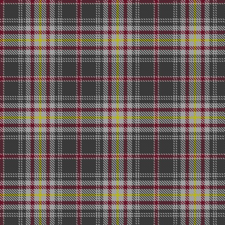 Tartan image: Tasmanian. Click on this image to see a more detailed version.