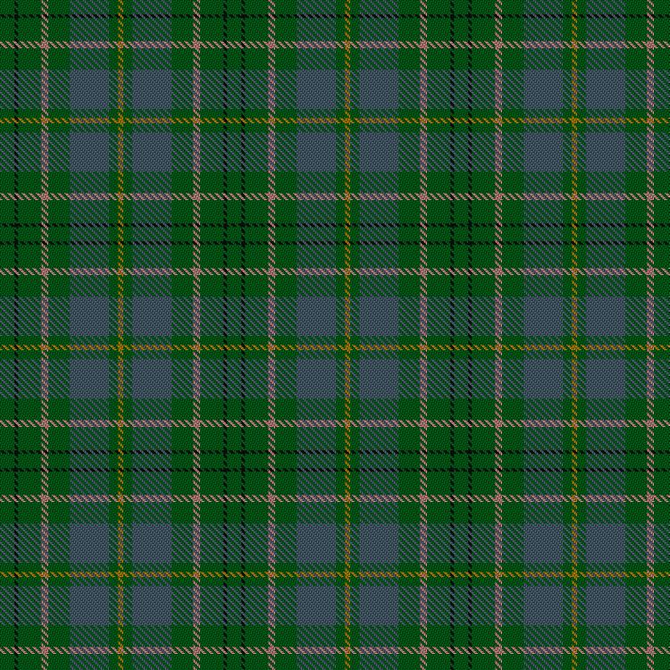 Tartan image: Taylor. Click on this image to see a more detailed version.