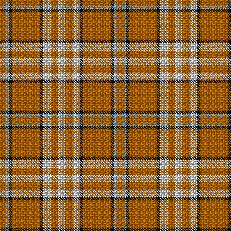Tartan image: Tennessee Volunteer. Click on this image to see a more detailed version.