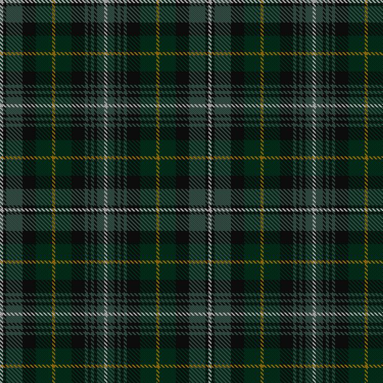 Tartan image: Terre D'Ecosse. Click on this image to see a more detailed version.