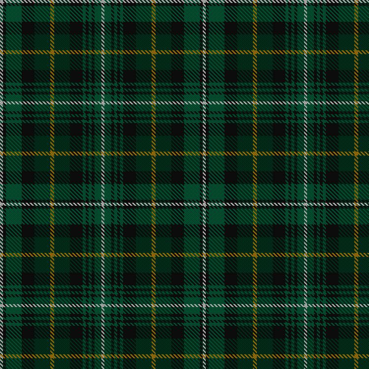 Tartan image: Terre De'Ecosse. Click on this image to see a more detailed version.