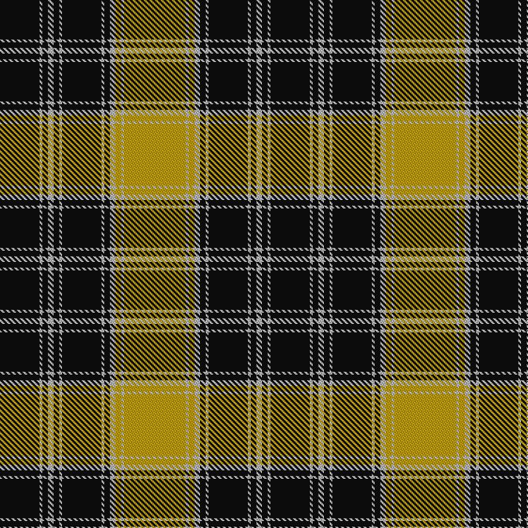 Tartan image: Thain Dress #1. Click on this image to see a more detailed version.
