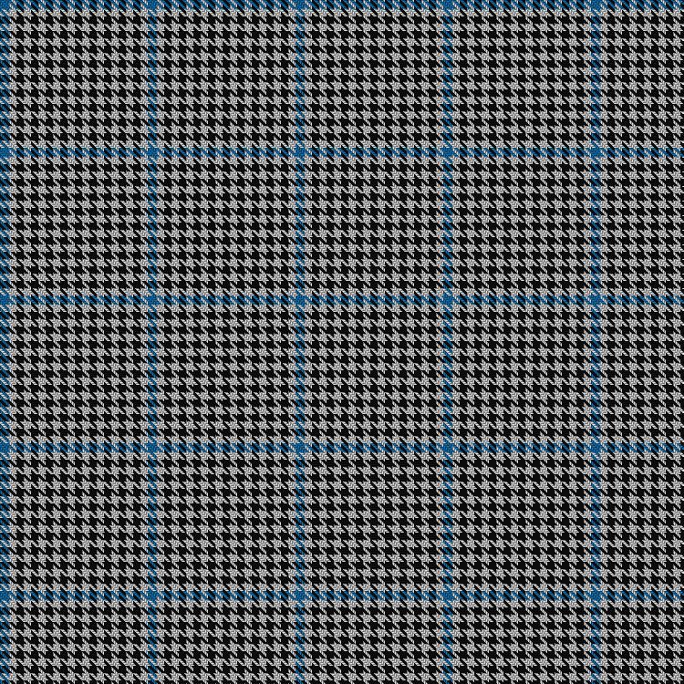 Tartan image: Buccleuch Check (9 squares). Click on this image to see a more detailed version.