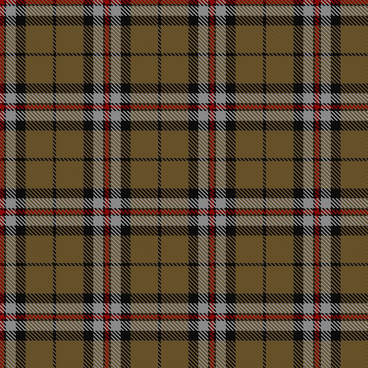 Tartan image: Thomson Camel (Jedburgh Mill). Click on this image to see a more detailed version.