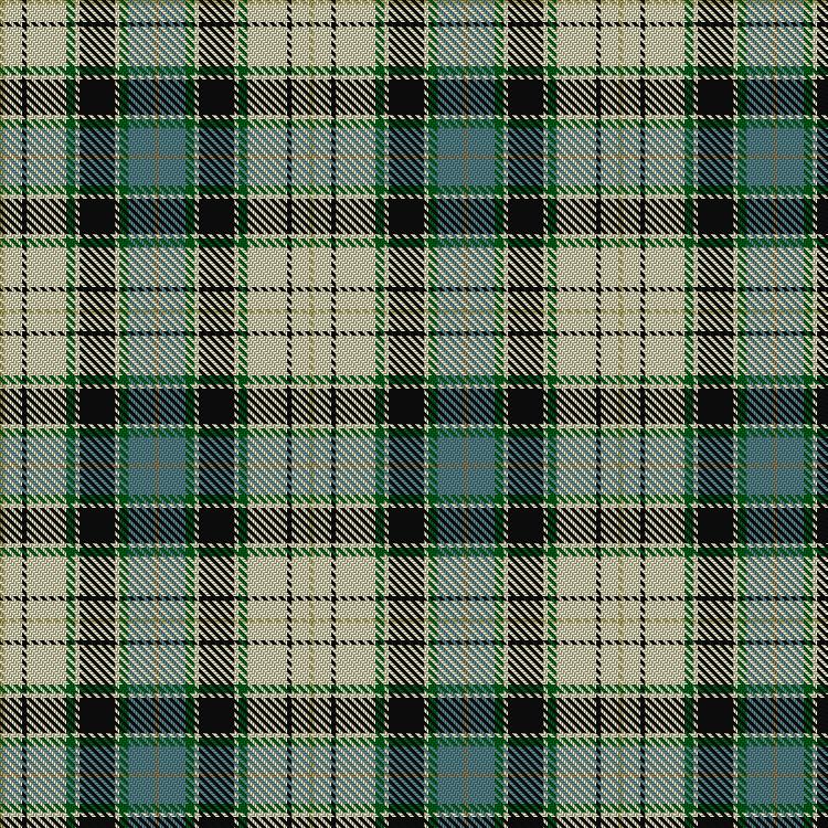Tartan image: Tiree. Click on this image to see a more detailed version.