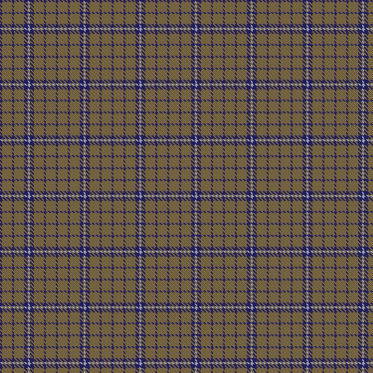 Tartan image: Tokharion. Click on this image to see a more detailed version.