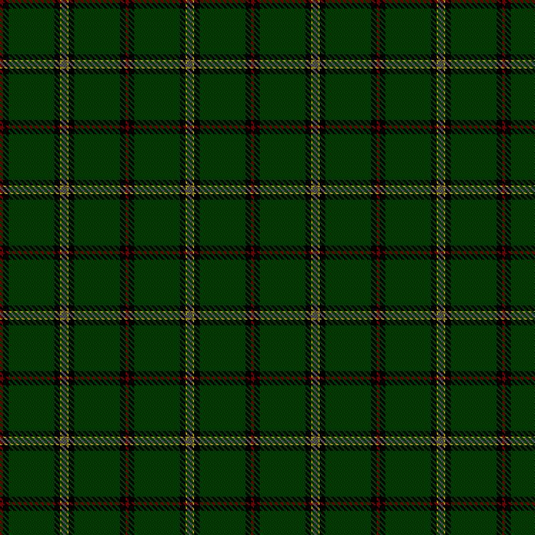 Tartan image: Tough (Personal). Click on this image to see a more detailed version.