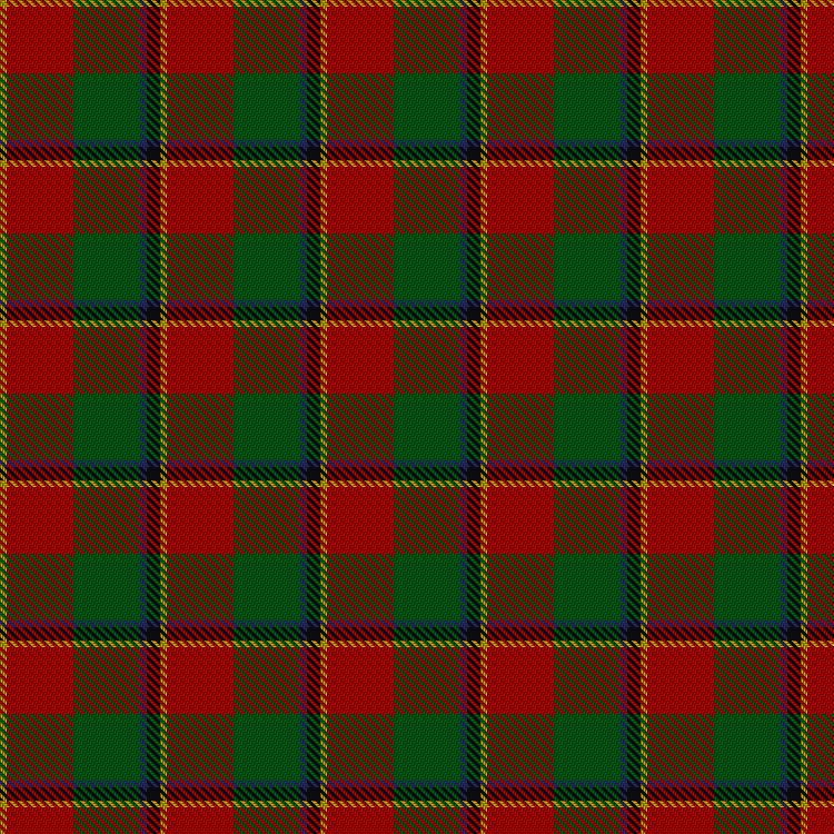 Tartan image: Turnbull Dress. Click on this image to see a more detailed version.
