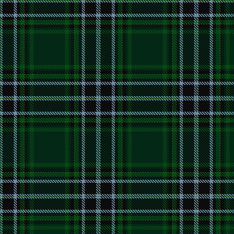 Tartan image: Undiscovered Scotland. Click on this image to see a more detailed version.
