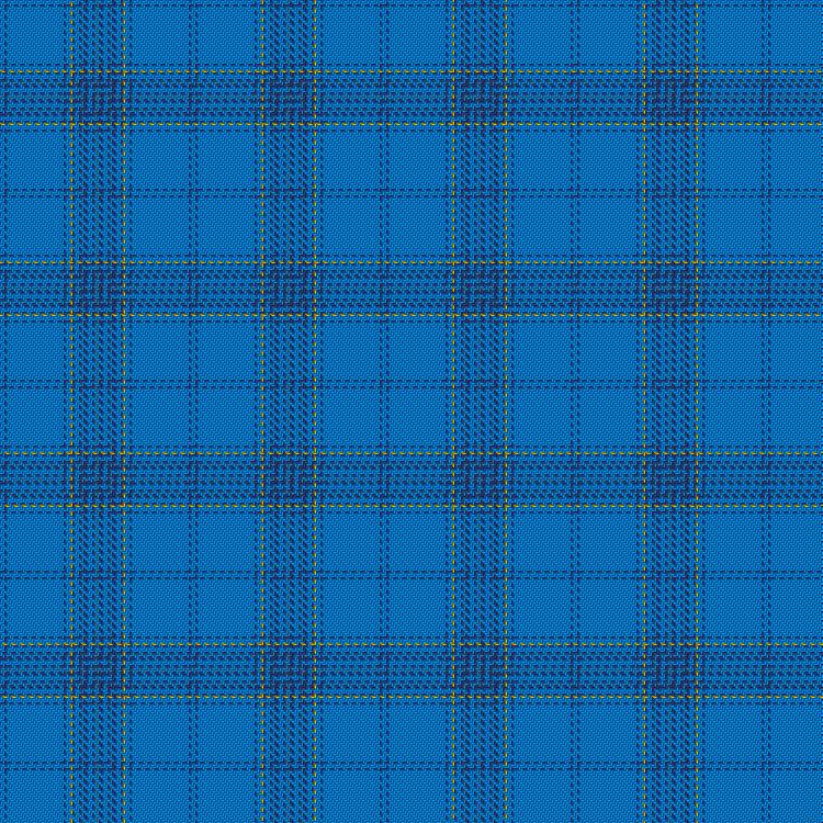 Tartan image: Unidentified #1. Click on this image to see a more detailed version.
