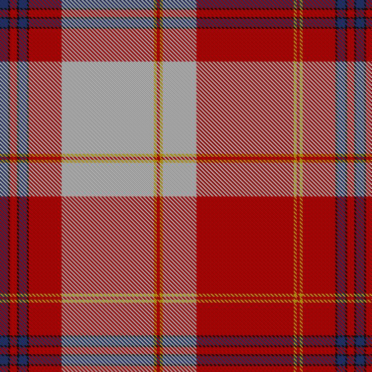 Tartan image: Unidentified #13. Click on this image to see a more detailed version.