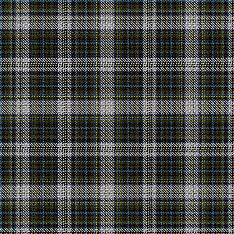 Tartan image: Unidentified #18. Click on this image to see a more detailed version.