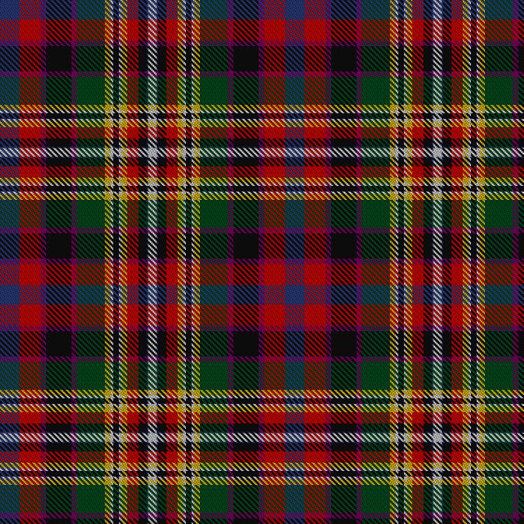 Tartan image: Unidentified #22. Click on this image to see a more detailed version.