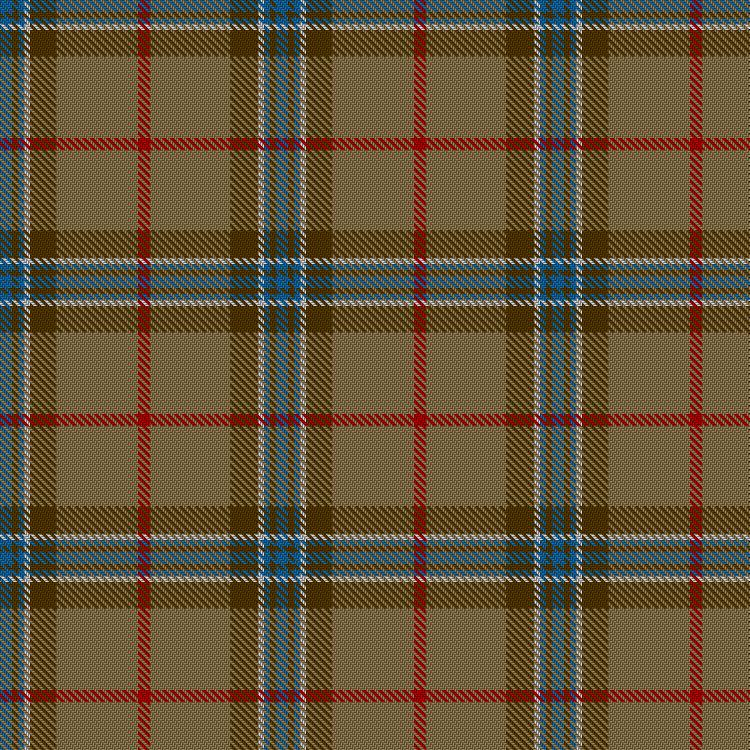 Tartan image: Unidentified #25. Click on this image to see a more detailed version.