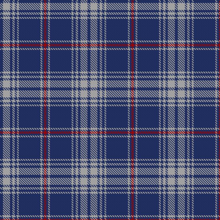 Tartan image: Unidentified #26. Click on this image to see a more detailed version.