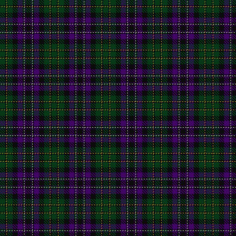 Tartan image: Unidentified #32. Click on this image to see a more detailed version.