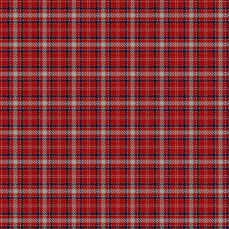 Tartan image: Unidentified #41. Click on this image to see a more detailed version.
