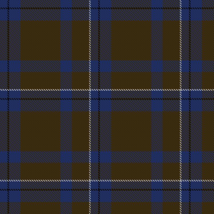 Tartan image: Unidentified #44. Click on this image to see a more detailed version.