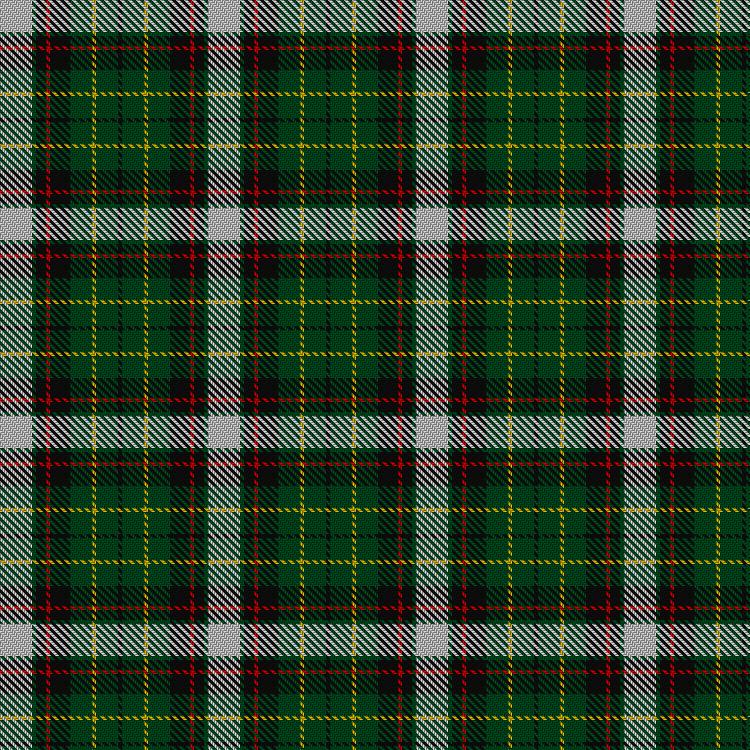 Tartan image: Unidentified #46. Click on this image to see a more detailed version.