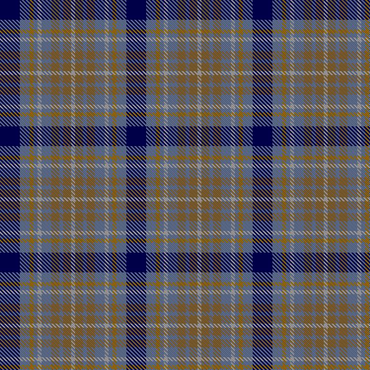 Tartan image: Unidentified #47. Click on this image to see a more detailed version.