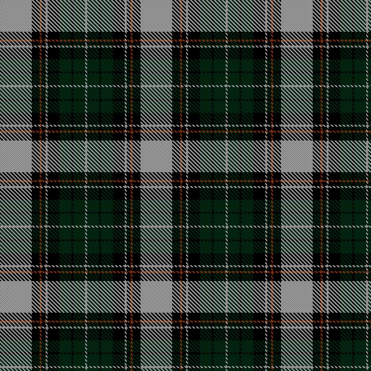 Tartan image: Unidentified #49. Click on this image to see a more detailed version.