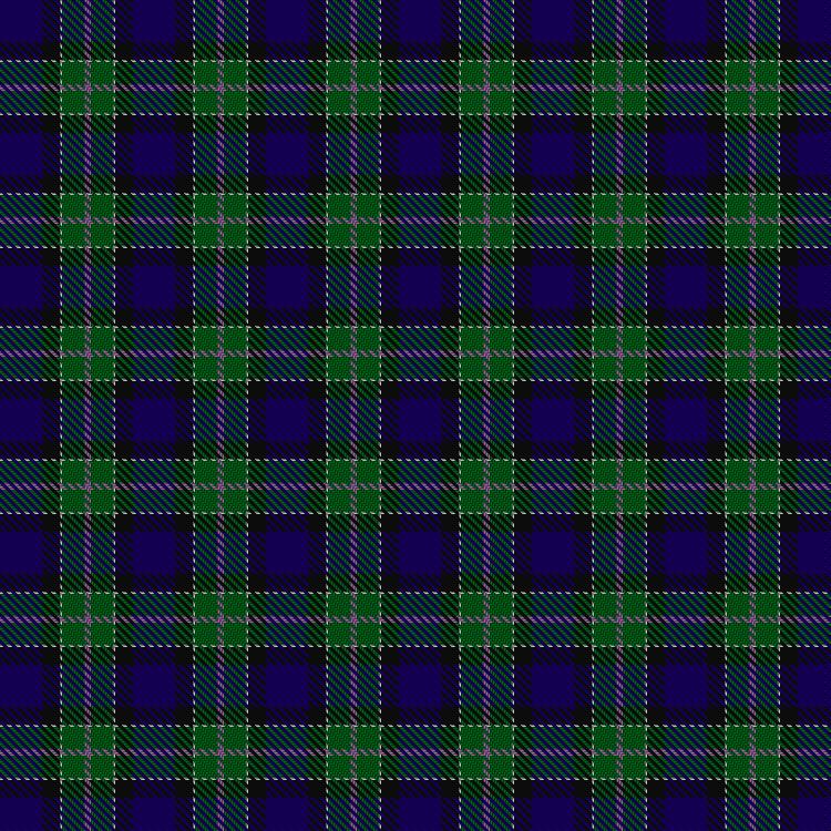 Tartan image: Unidentified #50. Click on this image to see a more detailed version.