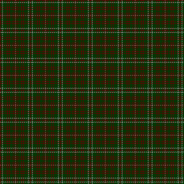 Tartan image: Unidentified #51. Click on this image to see a more detailed version.