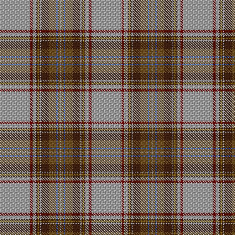 Tartan image: Unnamed C20th #54. Click on this image to see a more detailed version.