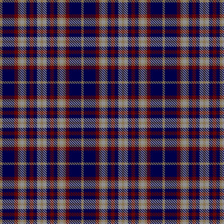 Tartan image: Unidentified #55. Click on this image to see a more detailed version.