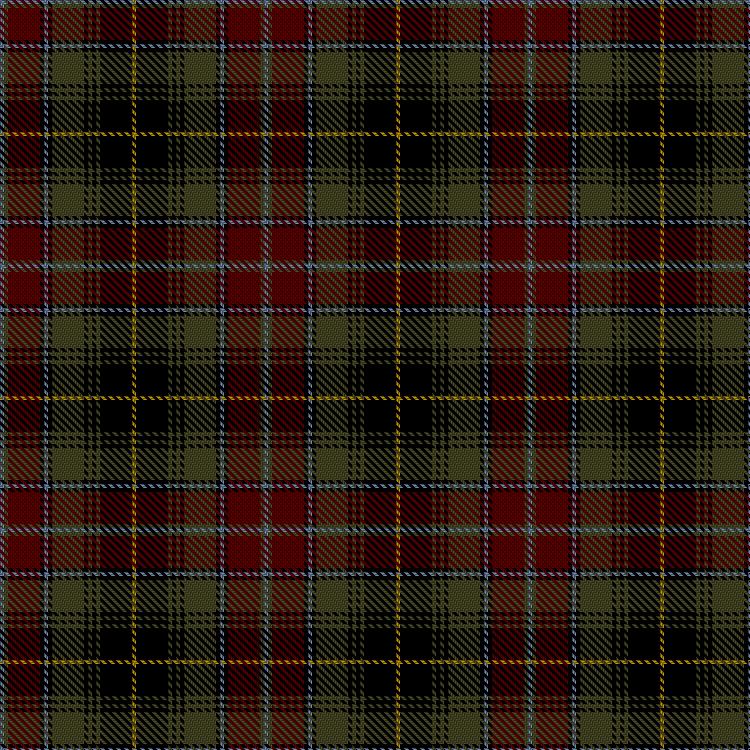 Tartan image: Unidentified #63. Click on this image to see a more detailed version.