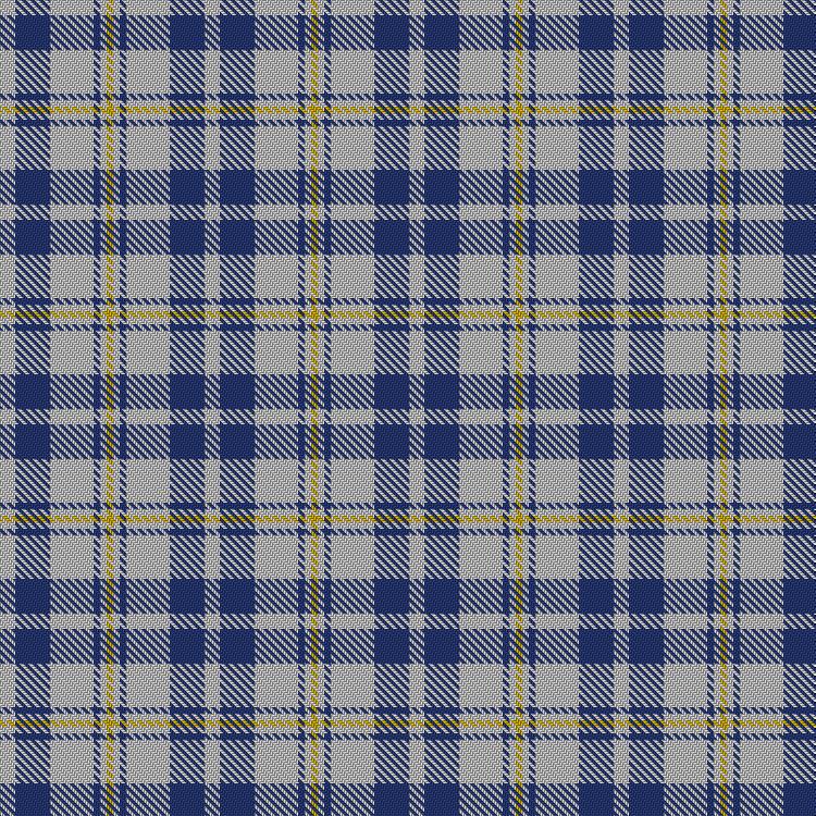 Tartan image: Unidentified (Shirt). Click on this image to see a more detailed version.