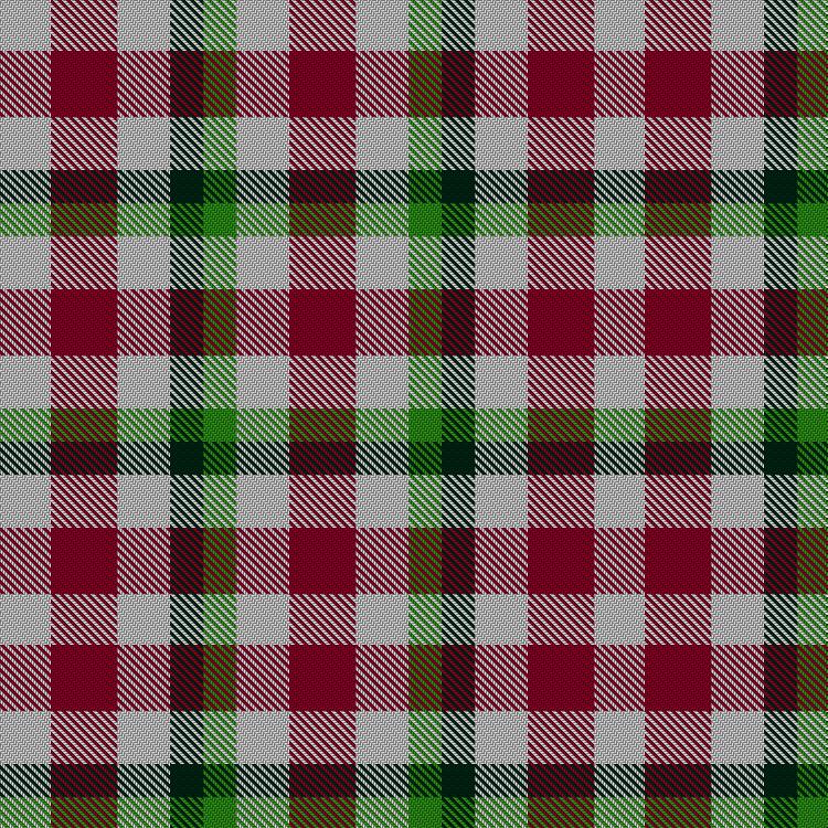 Tartan image: Unidentified Arisaid #2. Click on this image to see a more detailed version.
