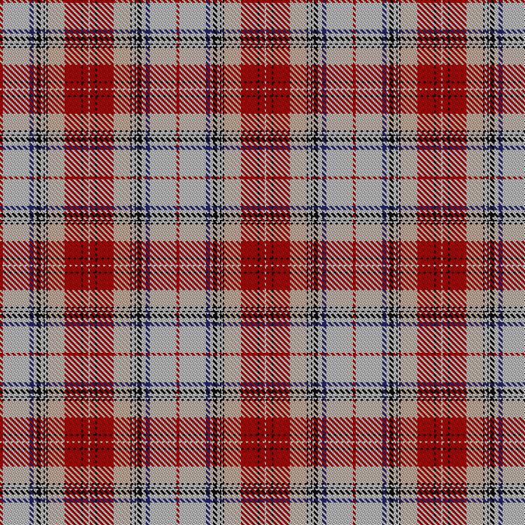 Tartan image: Unnamed (Cant) #8. Click on this image to see a more detailed version.