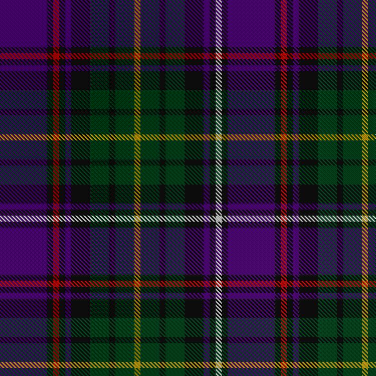 Tartan image: Unidentified fragment. Click on this image to see a more detailed version.