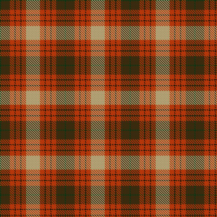 Tartan image: Unidentified from Winnipeg. Click on this image to see a more detailed version.