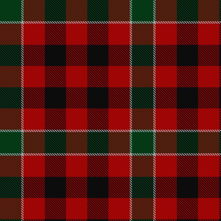 Tartan image: Unidentified item. Click on this image to see a more detailed version.