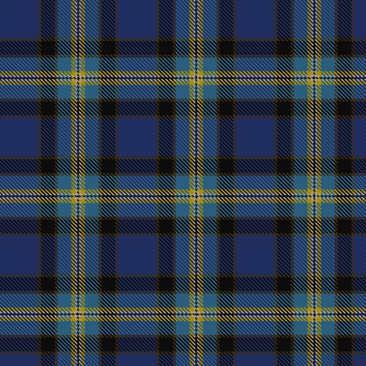 Tartan image: Unidentified Lady's kilt. Click on this image to see a more detailed version.
