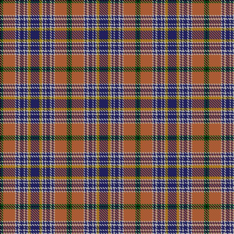 Tartan image: Unidentified Lindley #3. Click on this image to see a more detailed version.