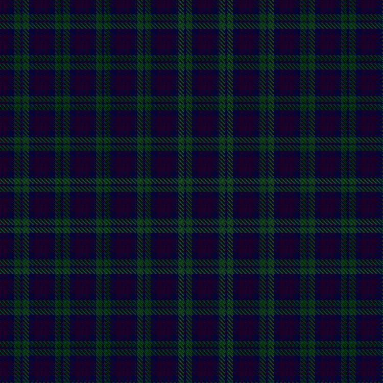 Tartan image: Unidentified no. 54. Click on this image to see a more detailed version.