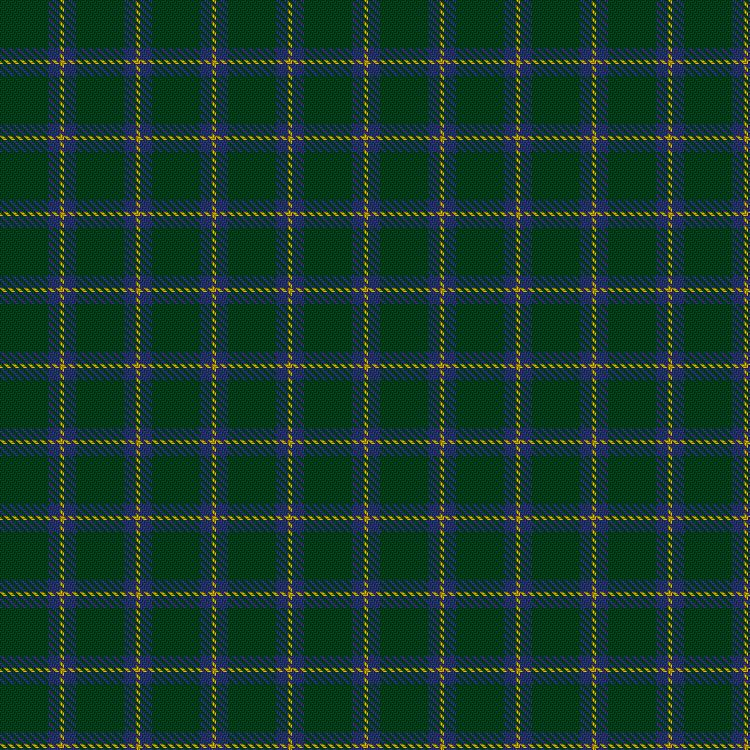 Tartan image: Unidentified pattern #2. Click on this image to see a more detailed version.