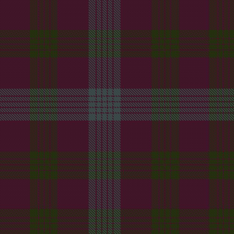 Tartan image: Unidentified Plaid. Click on this image to see a more detailed version.