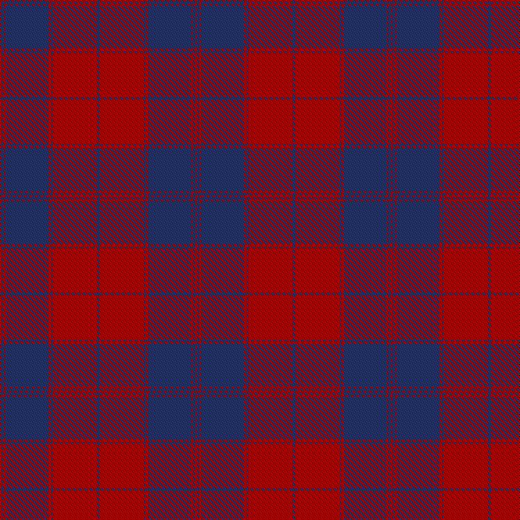 Tartan image: Unidentified Plaid #12. Click on this image to see a more detailed version.