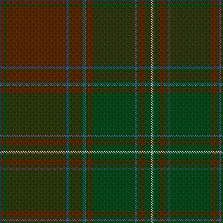Tartan image: Unidentified Plaid #14. Click on this image to see a more detailed version.